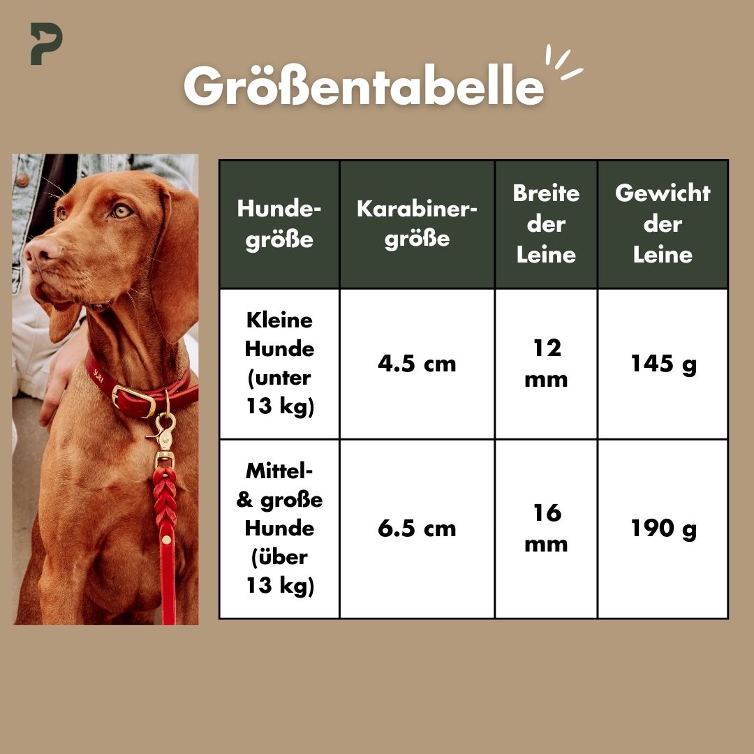 lederleine-breiten-pawsome