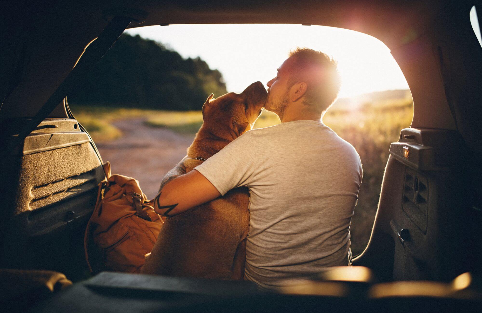 Hund und Mann in Auto