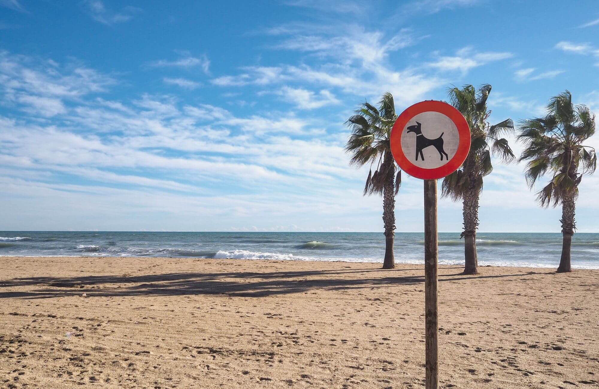 Strand für Hunde