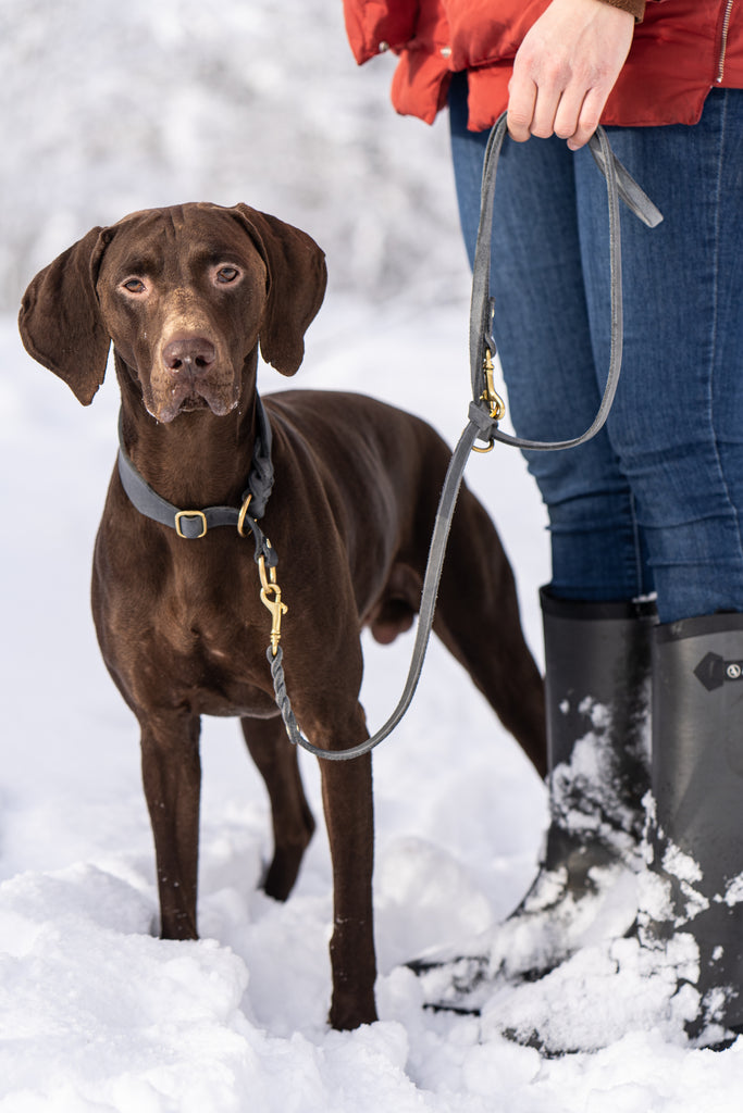 This picture is part of the article 'Leash bully: Leash aggression vs. Leash frustration - What's the difference? Part 2'. More and more linen Rambos are on the streets.