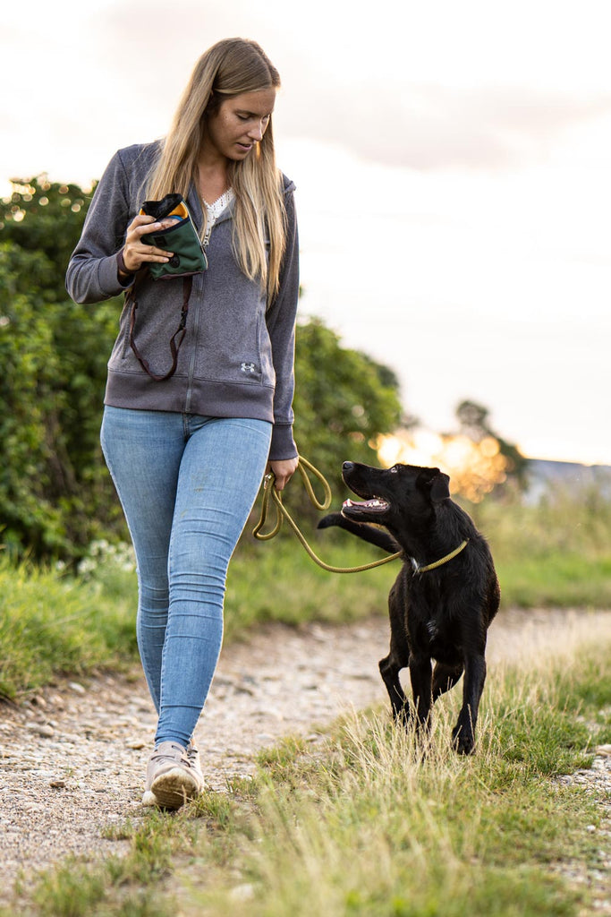 This picture is part of the article 'Leash bully: Leash aggression vs. Leash frustration - What's the difference? Part 2'. More and more linen Rambos are on the streets.