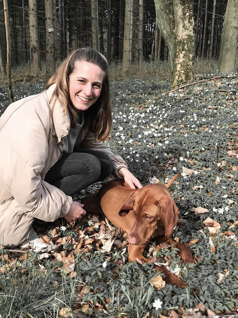 Dieses Bild zeigt Arlo, den Viszla. Es ist Teil vom Blogbeitrag 'Musst du deinen Jagdhund jagdlich ausbilden und auslasten?'. In diesem Blogbeitrag geht es um die richtige Auslastung von Jagdhunden und die wichtigen Entscheidungen, die du treffen sollst bevor dein Hund zu dir kommt. Egal ob Welpe, Junghund oder Senior. Wie du einen problemlosen Alltag mit konsequenter Erziehung schafft lernst du in diesem Beitrag.