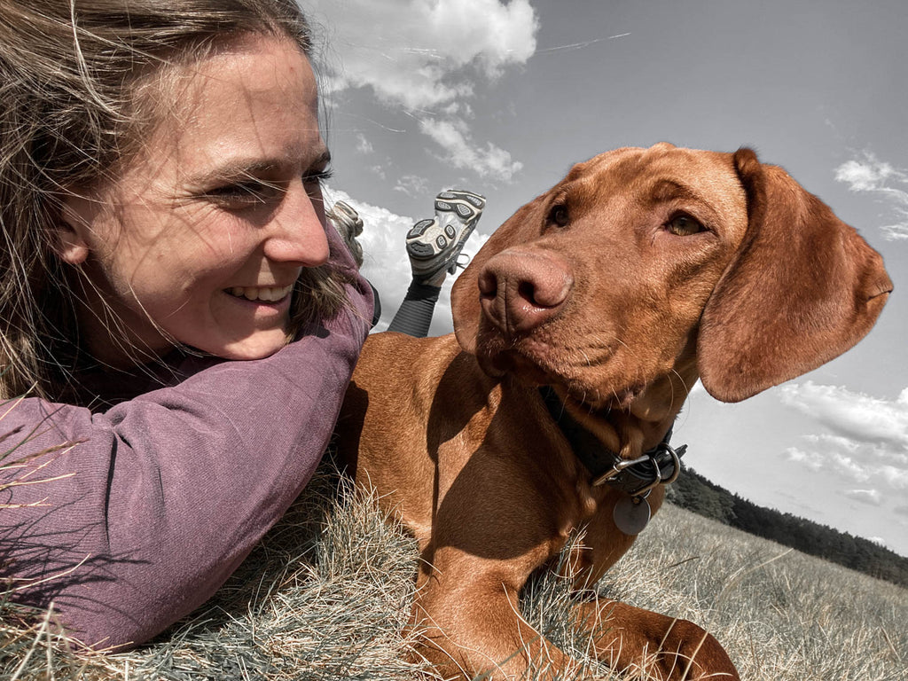 Dieses Bild zeigt Arlo, den Viszla. Es ist Teil vom Blogbeitrag 'Musst du deinen Jagdhund jagdlich ausbilden und auslasten?'. In diesem Blogbeitrag geht es um die richtige Auslastung von Jagdhunden und die wichtigen Entscheidungen, die du treffen sollst bevor dein Hund zu dir kommt. Egal ob Welpe, Junghund oder Senior. Wie du einen problemlosen Alltag mit konsequenter Erziehung schafft lernst du in diesem Beitrag.