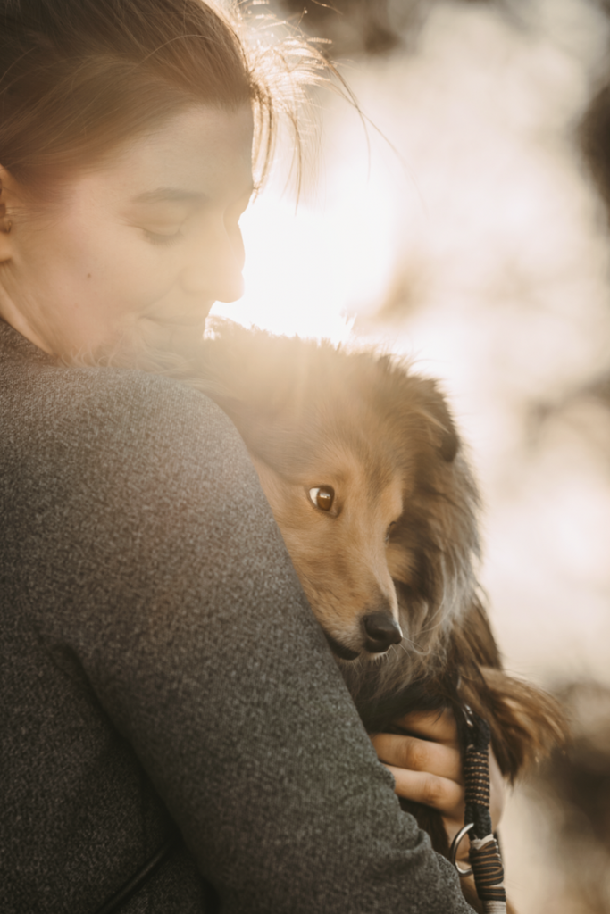 Dieses Foto ist Teil des Blogbeitrags 'Spickzettel für tolle Hundefotos mit den 5 besten Tipps'. Es ist von Magdalena Deutsch von Stadtpfoten.