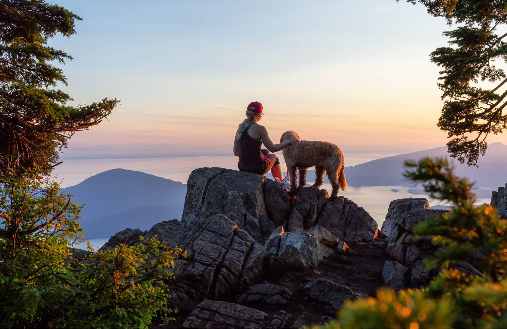 Wandern mit Hund