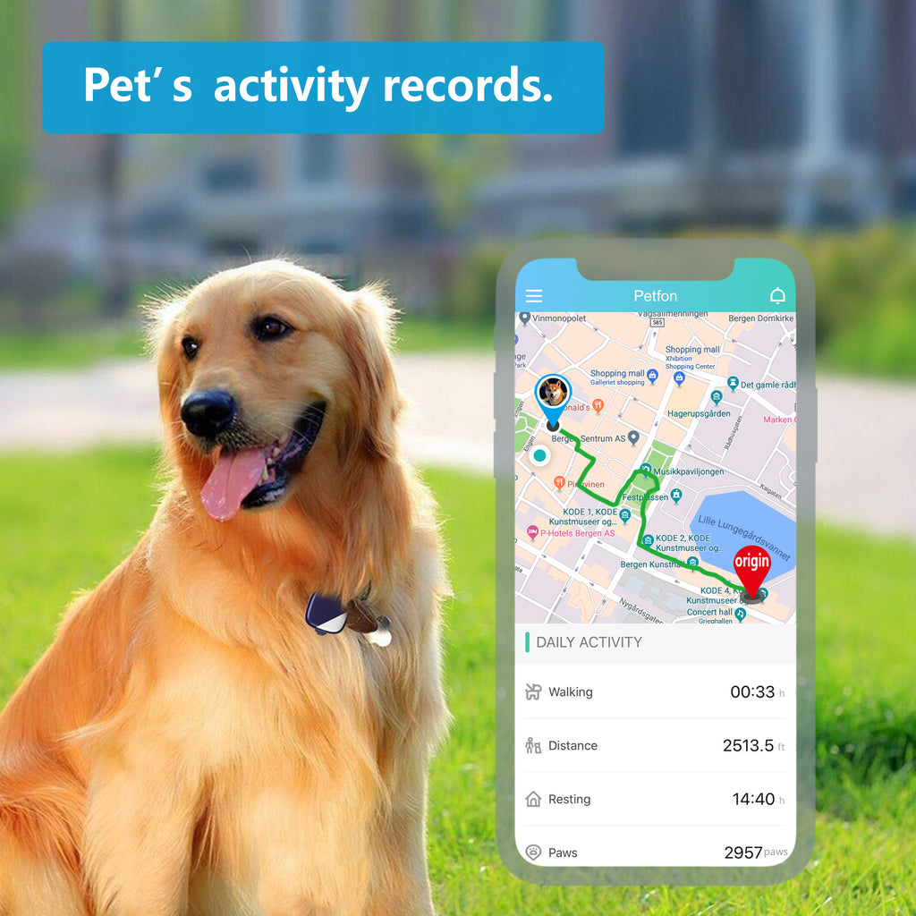 PETFON2 (Smart tracker dog)