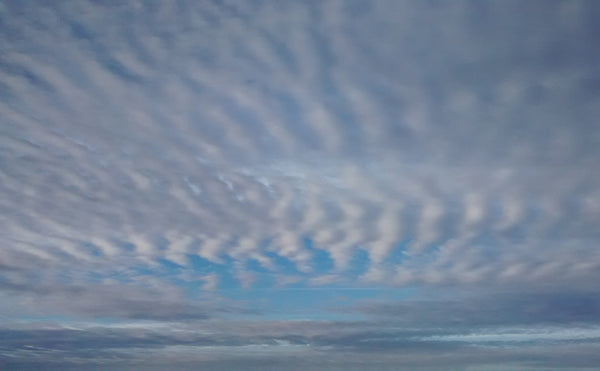Kimberli Werner Art, wavy cloud patterns in the sky
