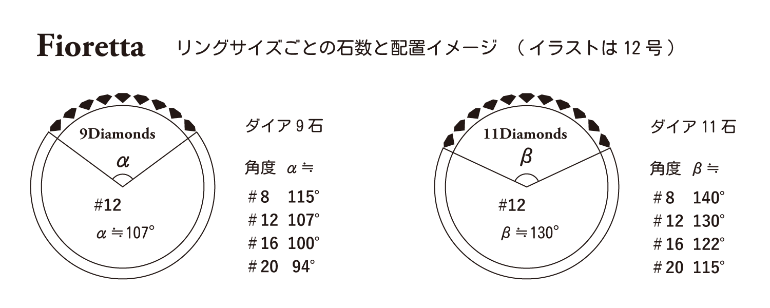 HIKARUISHI(ひかるいし)Fioretta石配置イメージ