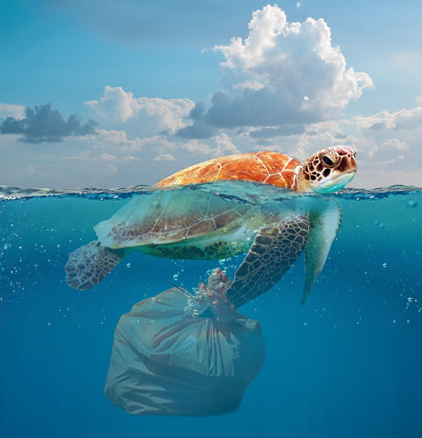 Microplastiques : la pollution marine invisible 🌊 – Slow & Glow