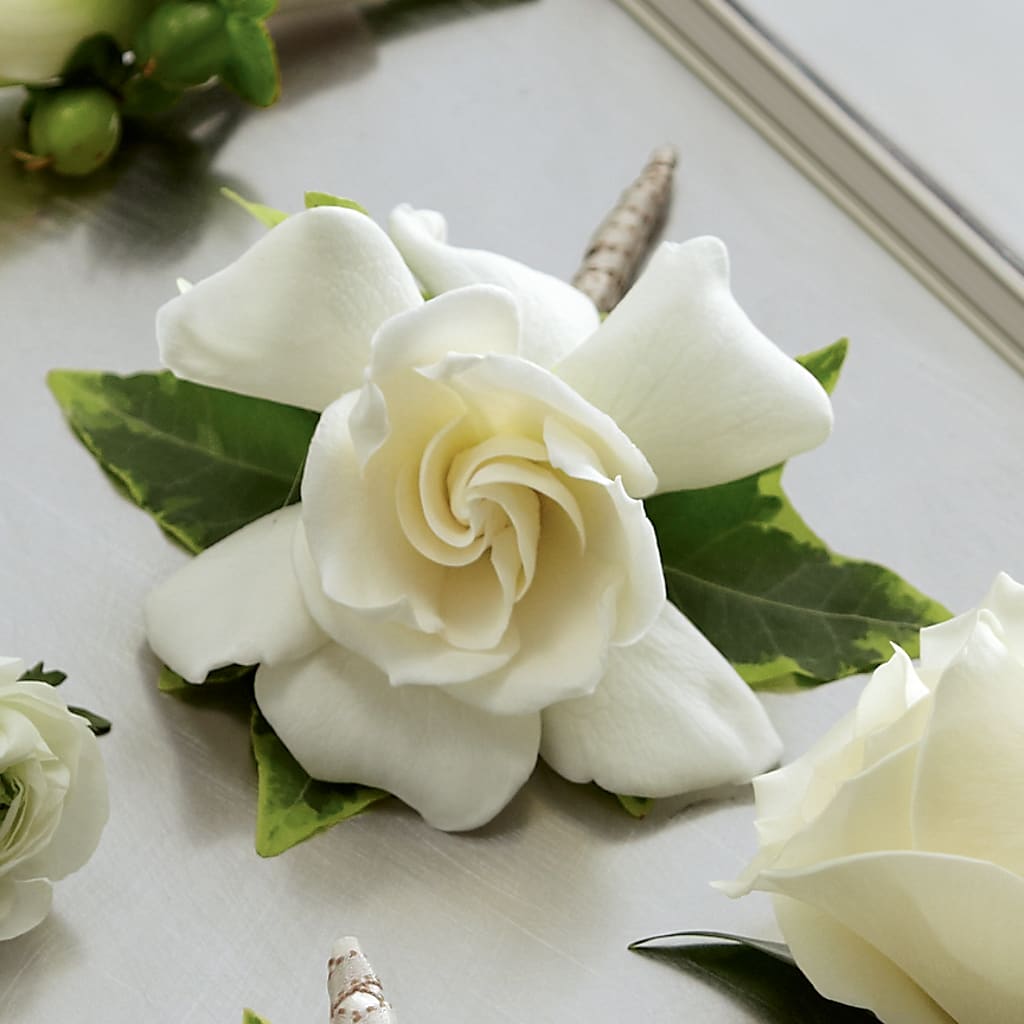 Gardenia Boutonniere - Rosemary Flower Shop product image