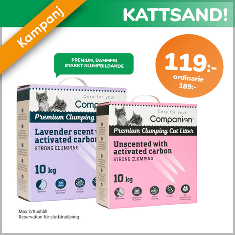 Companion Kattsand kampanj Zoogiganten Kattensdag