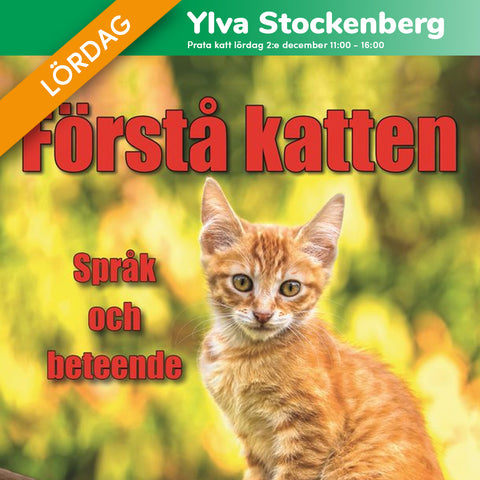 Ylva Stockenberg kattexpert