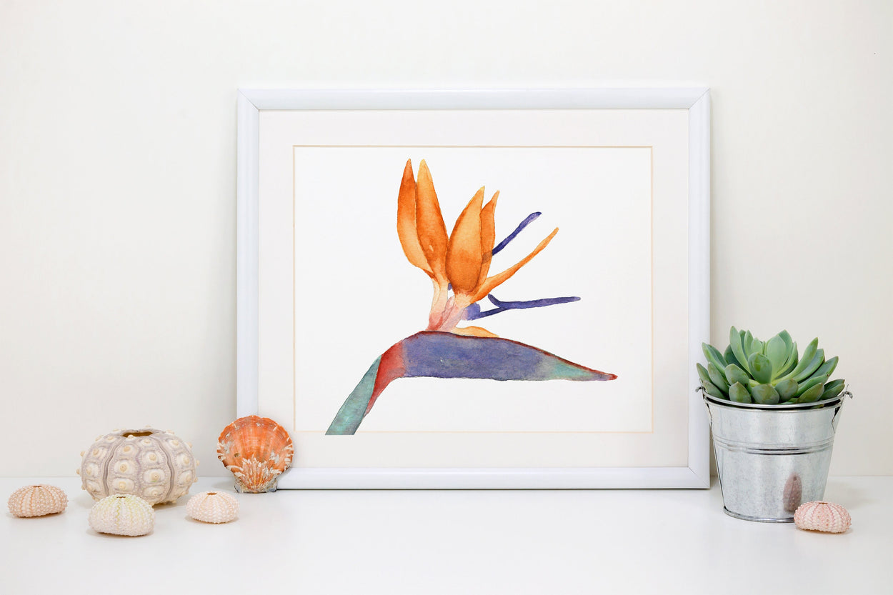 birds of paradise flower drawing