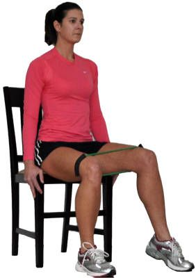 exercise equipment for legs while sitting