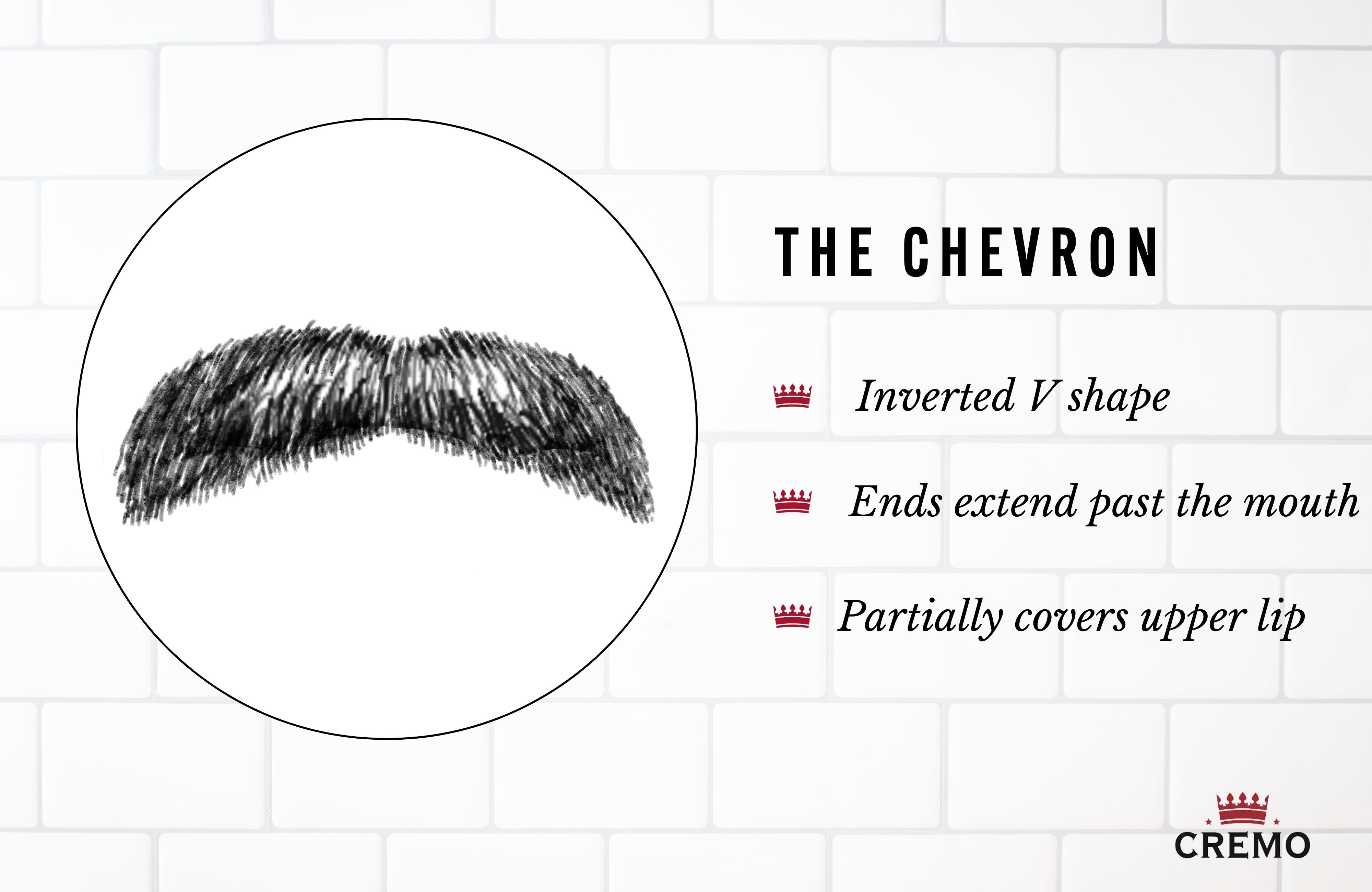 Chevron Mustachee