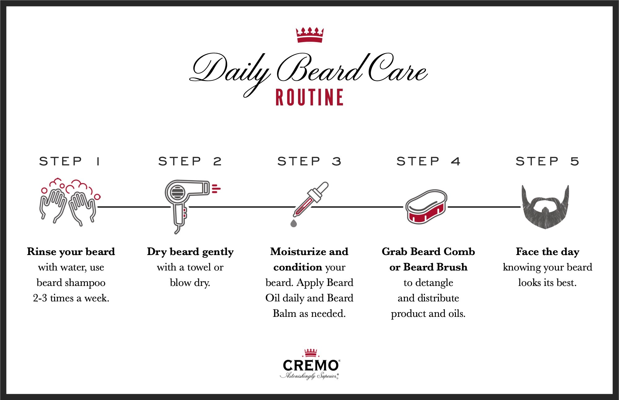 dail beard care routine