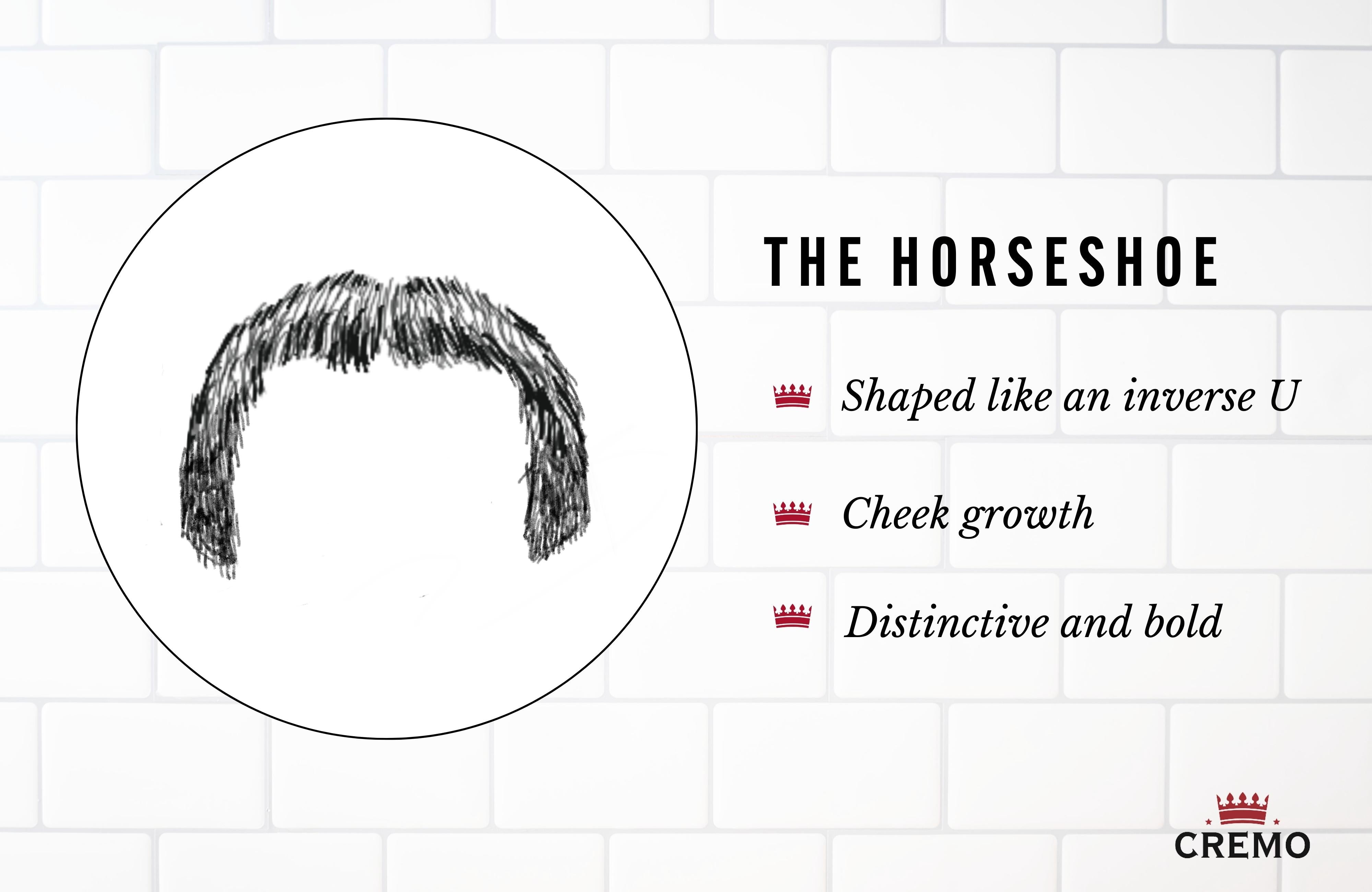 Horseshoe Mustache