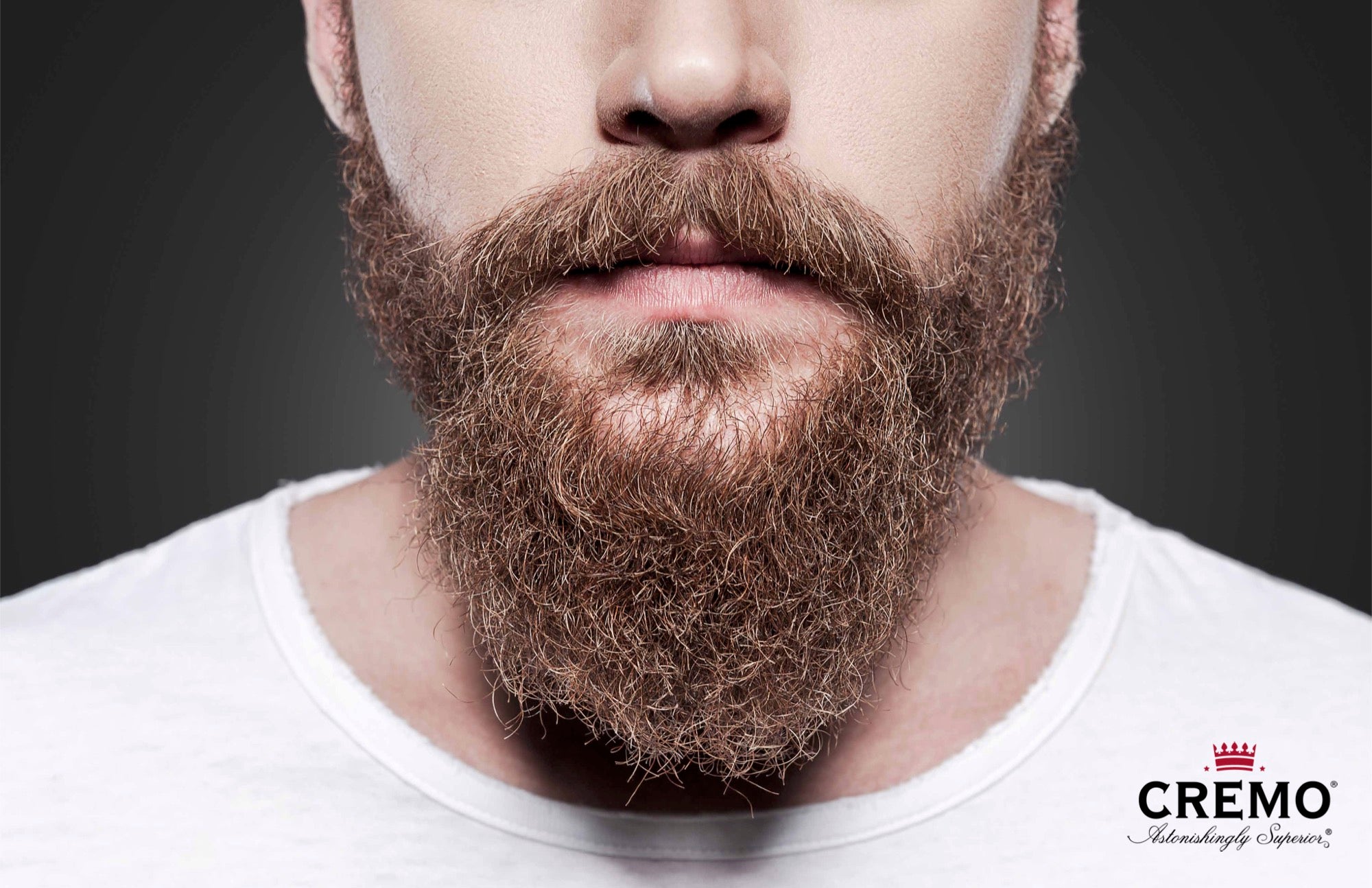 beard training techniques into your grooming routine