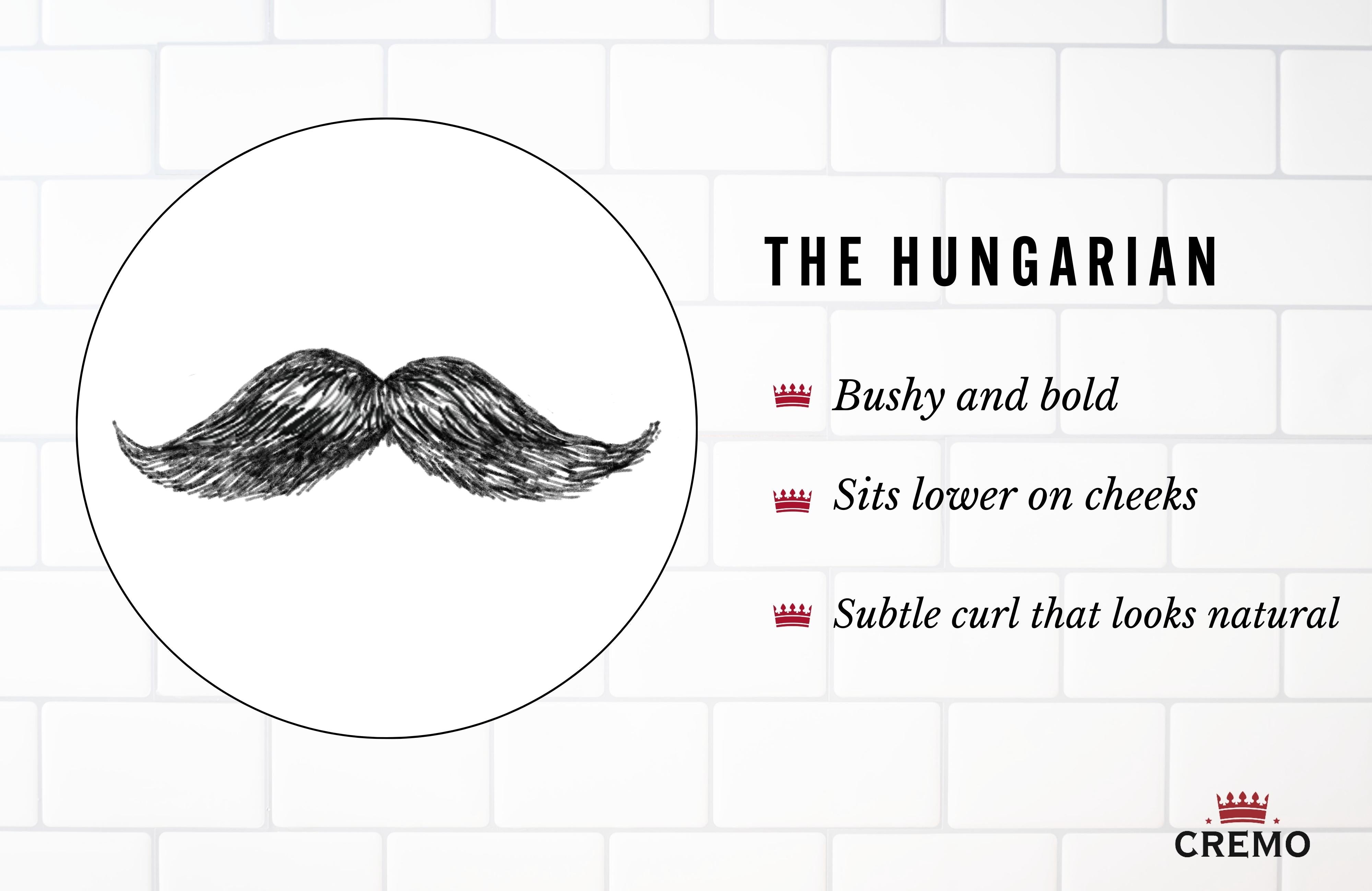Hungarian Mustache
