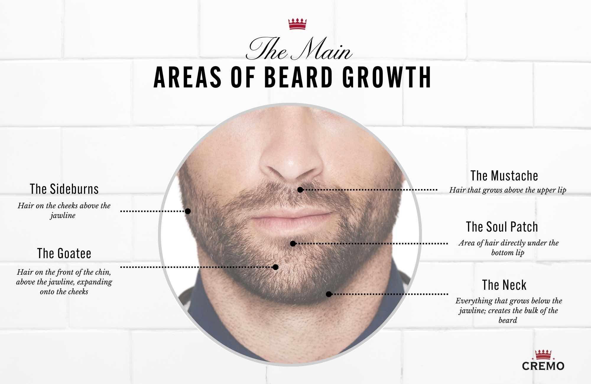 Areas of Beard Growth