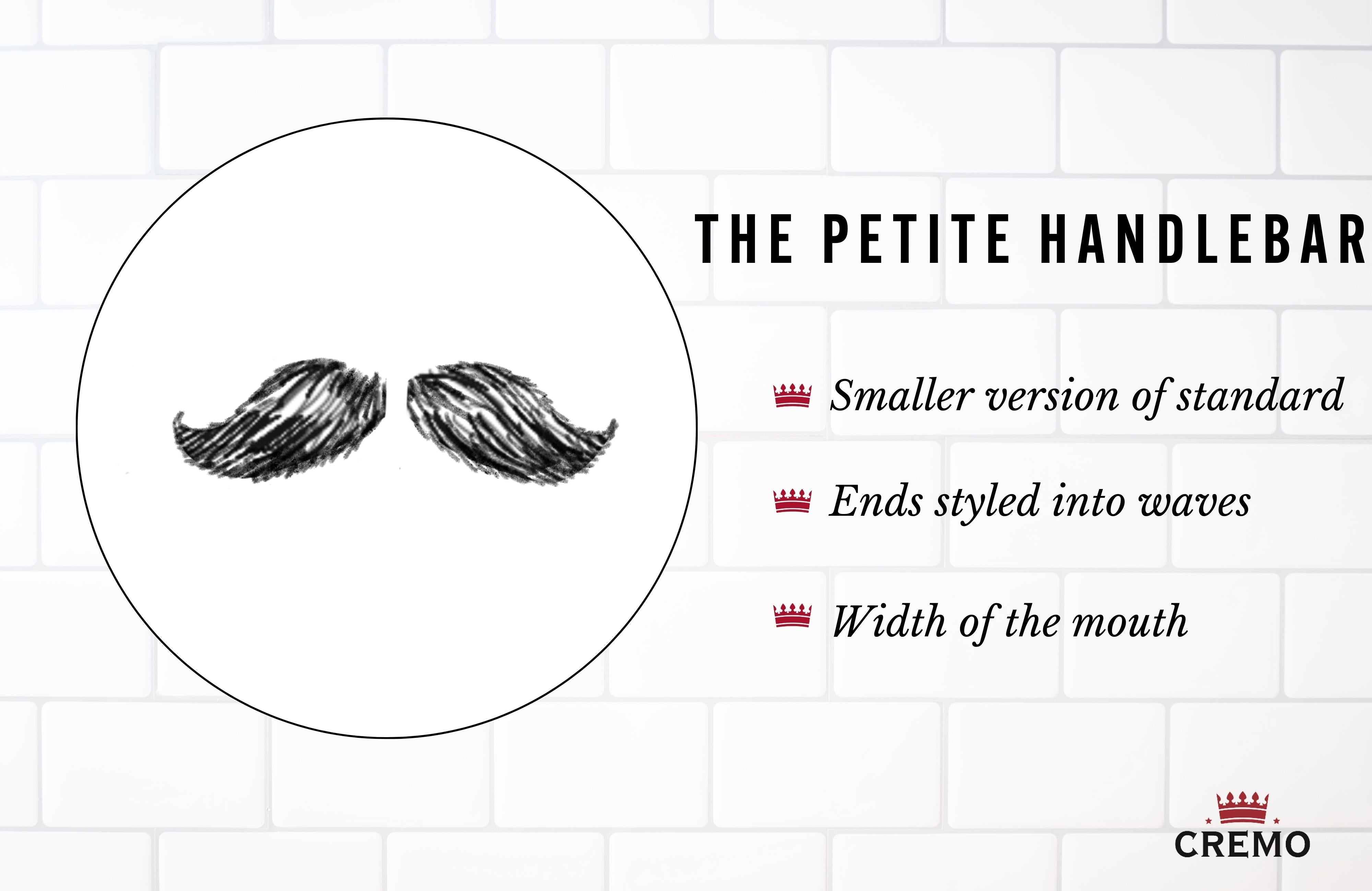 Petite Handlebar Mustache
