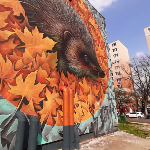 Foto que muestra un mural en un edificio industrial en una zona urbana, que muestra un erizo cubierto de coloridas hojas de otoño.