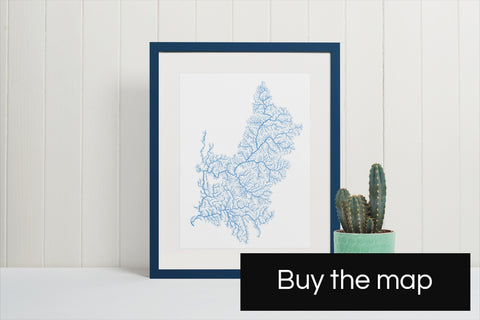 Grasshopper Geography's custom made Colorado river basin map as seen in Dave Showalter's book, Living River: The Promise of the Mighty Colorado, framed paper print in a blue frame with a pot of cactus on the side in front of a white wall.