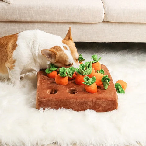 Carrot Garden — Happy-Poppy