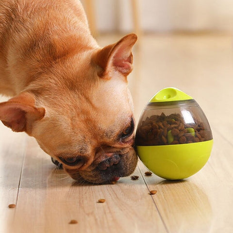 Interactive Dog Food Balls Tumbler Keep Your Pup Entertained