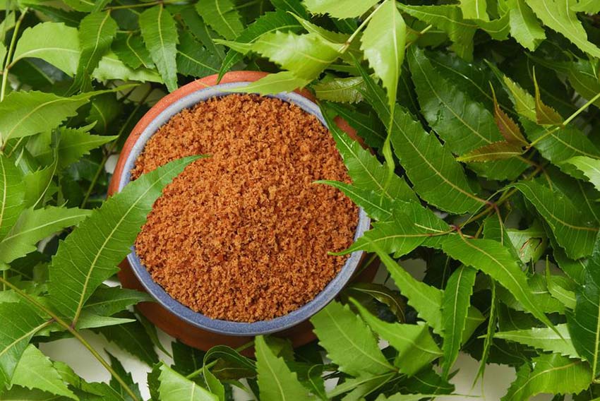 NEEM LEAVES AND JAGGERY