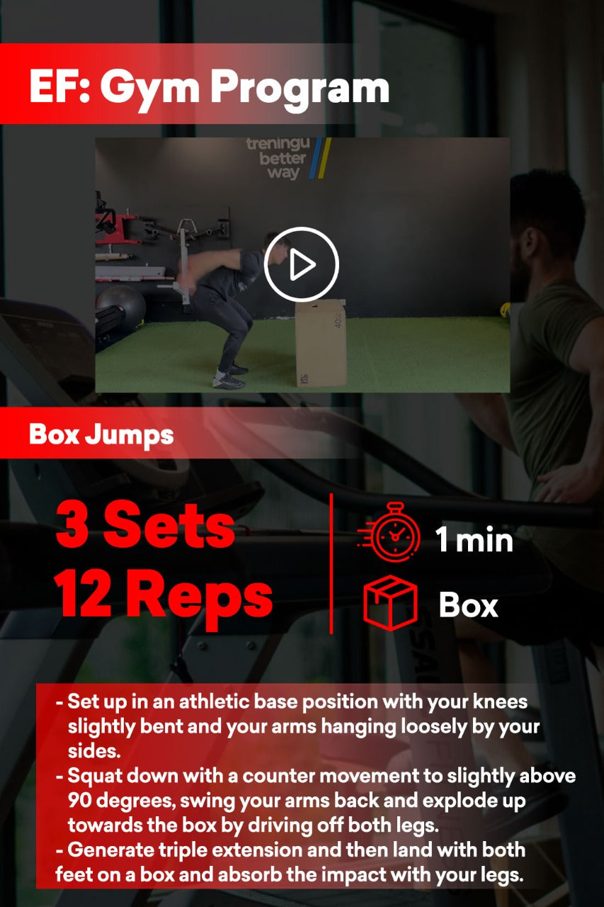 品質のいい Dets fitness 2 2箱- BOX FITNESS トレーニング・エクササイズ