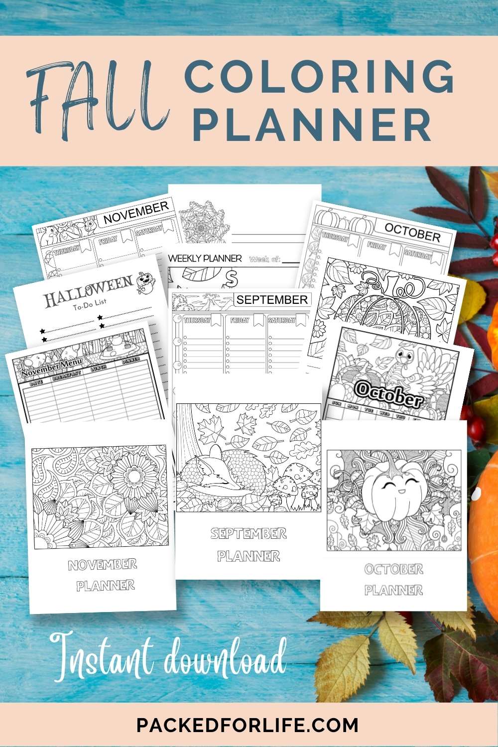 https://cdn.shopify.com/s/files/1/0566/3696/5017/products/FallColoringPlanner_1024x.jpg?v=1638055608