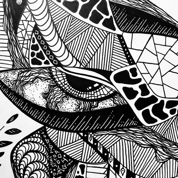 Butterfly Drawing Eye Detail