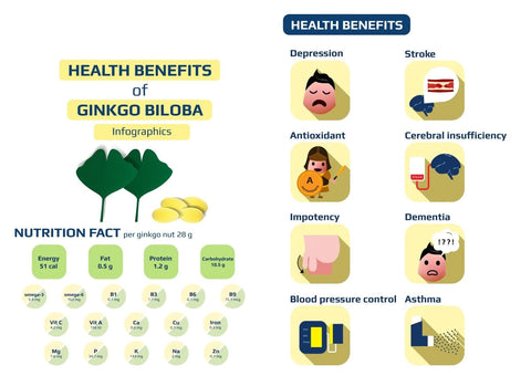 Beneficii Ginkgo Biloba