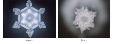 emoto research