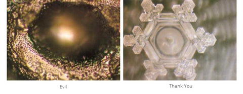 emoto research