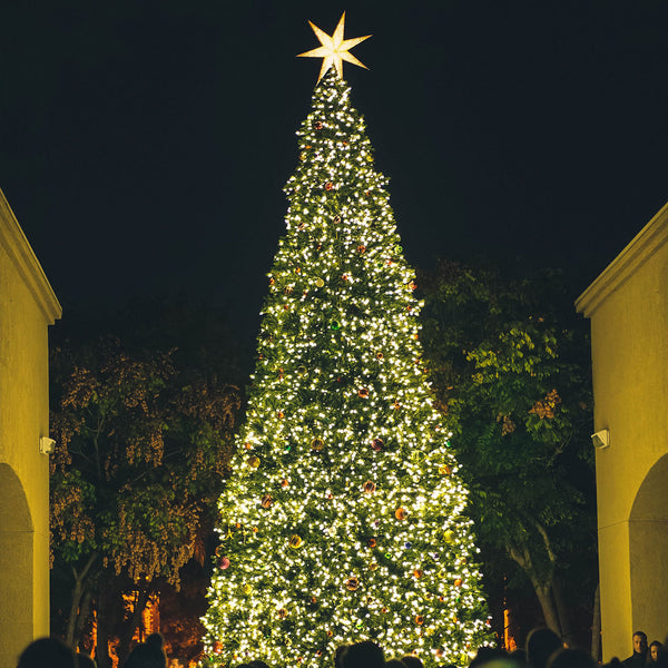 Stort juletræ oplyst med mange LED lys og en lysstjerne