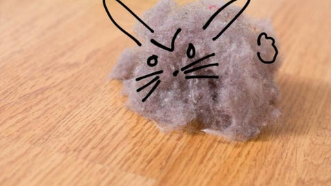 Dust Bunny