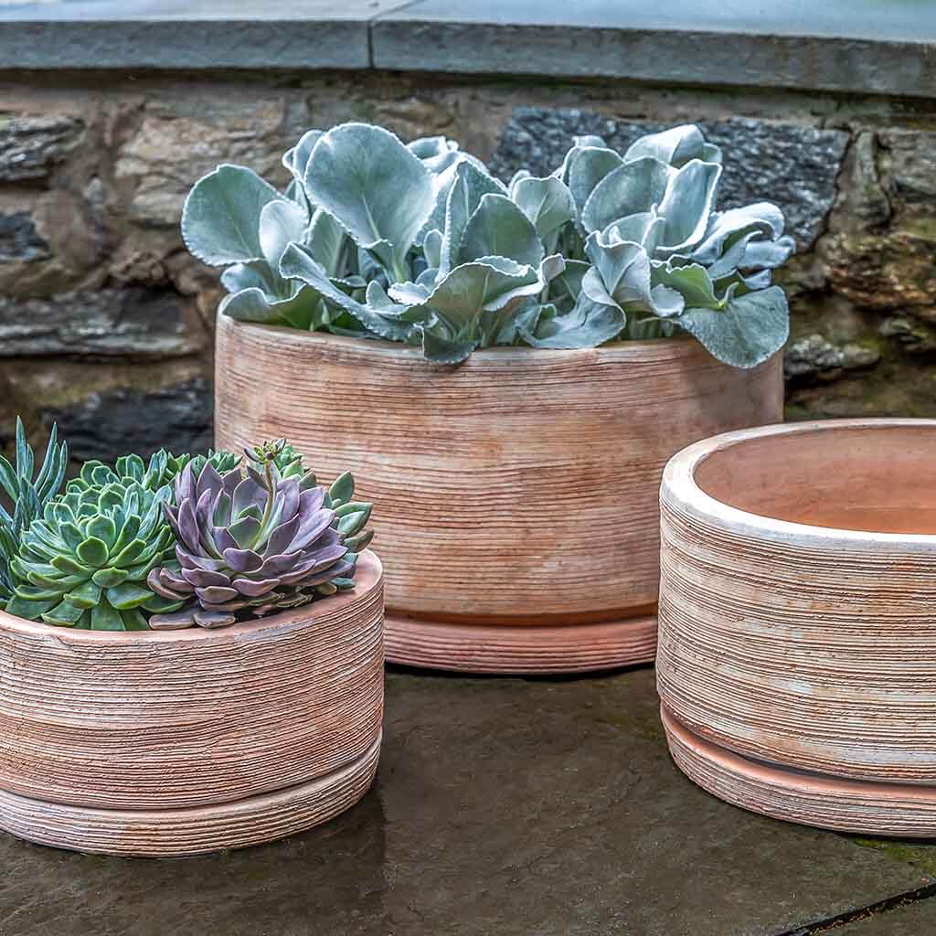 https://cdn.shopify.com/s/files/1/0566/4492/7571/products/6475-2403-sgraffito-low-planter-terra-cotta.jpg?v=1697554204