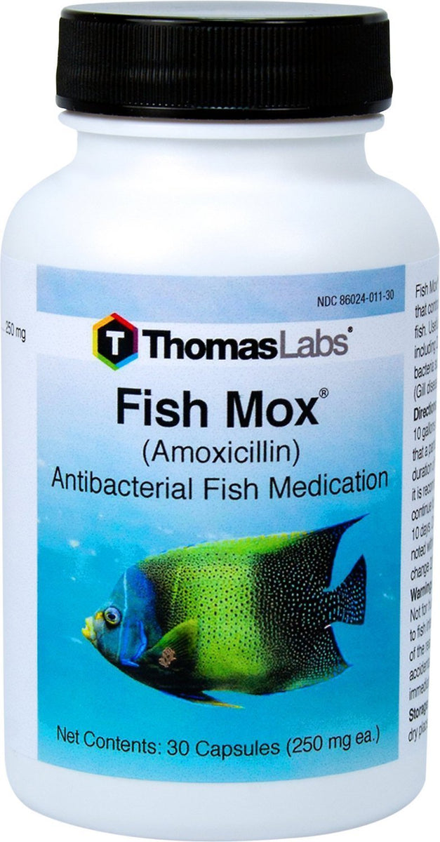 Fish Mox Amoxicillin 250 mg Free shipping Fishaid