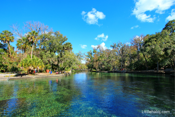 Blue Springs state park