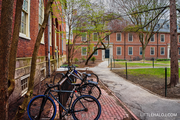 Harvard Boston