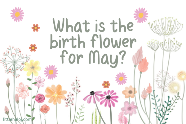 May flowers trivia questions