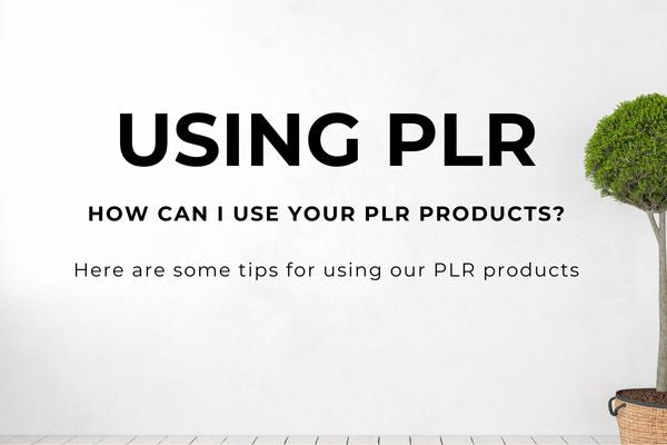How to use PLR Products