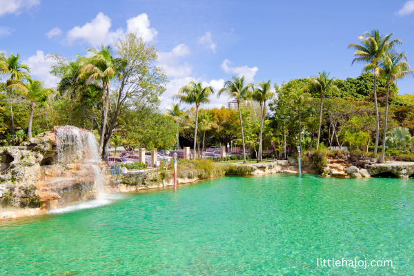 Venetian Pool in Miami