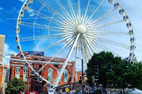 Skyview Ferris Wheel