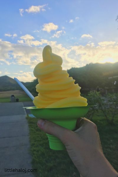 Dole Whip in Hawaii