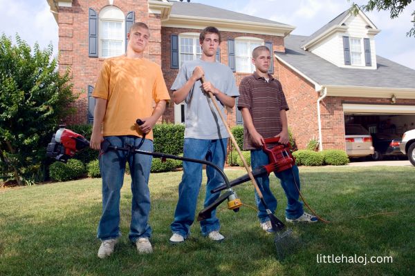 Teens offering lawncare services
