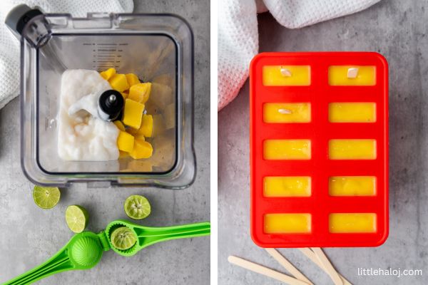 mango coconut popsicles