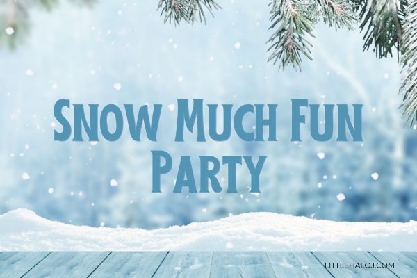 Snow much fun party sign